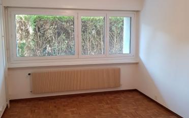 Apartment 1 room - image - 2