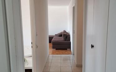 Wohnung 3.5 Zimmer - image - 6