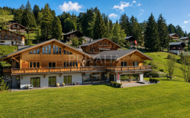 Chalet 9 pièces - image - 1