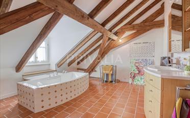 Single house 11 rooms - image - 13