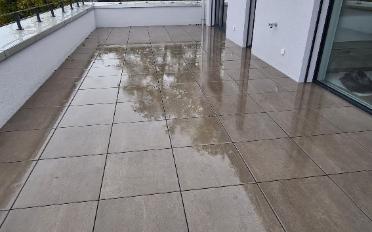 Wohnung 2.5 Zimmer - image - 5
