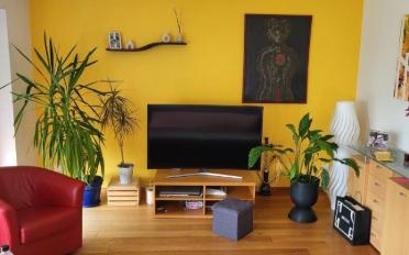 Chambre 1 pièce - image - 3