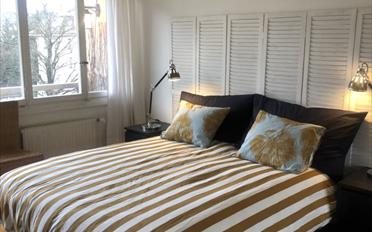 Wohnung 2.5 Zimmer - image - 3