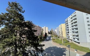 Appartement 3 pièces - image - 1