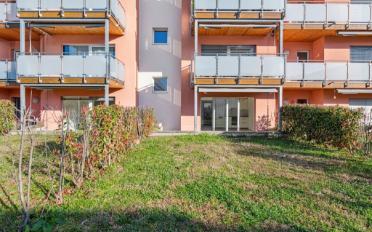 Wohnung 3.5 Zimmer - image - 8