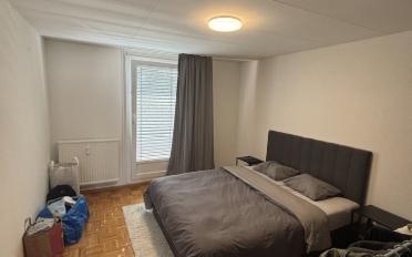 Appartement 3.5 pièces - image - 5