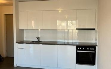 Apartment 1.5 rooms - image - 3