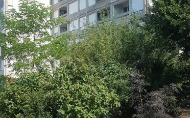 Apartment 3 rooms - image - 1