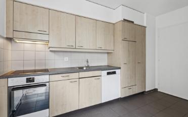 Appartement 4.5 pièces - image - 3