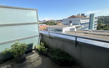 Appartement 4.5 pièces - image - 10