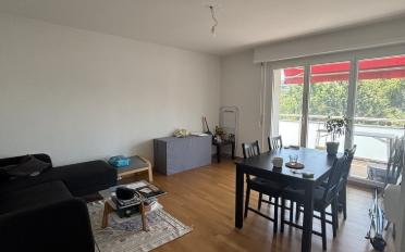 Appartement 2.5 pièces - image - 2
