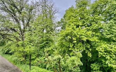 Einfamilienhaus 7 Zimmer - image - 3