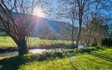 Reihenfamilienhaus 5.5 Zimmer - image - 1