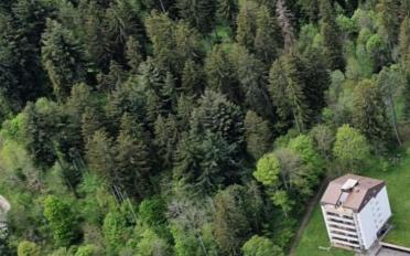 Apartment 4.5 rooms - image - 2