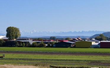 Appartement 3.5 pièces - image - 4