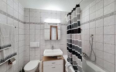 Attic flat 5.5 rooms - image - 13