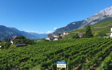 Villa 5.5 rooms - image - 1