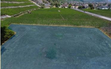 Building land - image - 3