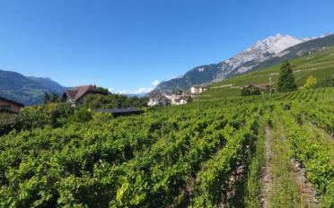 Terrain à bâtir - image - 3