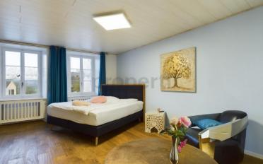 Single house 9 rooms - image - 6