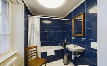 Single house 9 rooms - image - 8