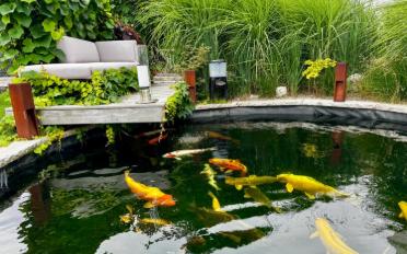 Furnished flat 5.5 rooms - image - 11