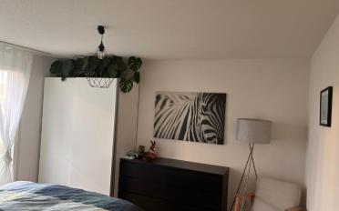 Wohnung 4.5 Zimmer - image - 8