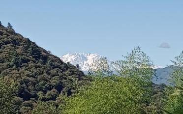 Maison 6.5 pièces - image - 12