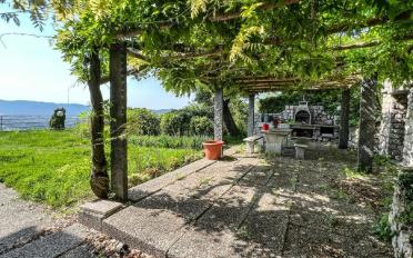 Row house 10.5 rooms - image - 9