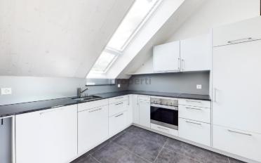 Roof flat 3.5 rooms - image - 2