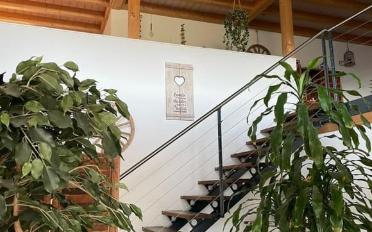 Appartement 5.5 pièces - image - 8