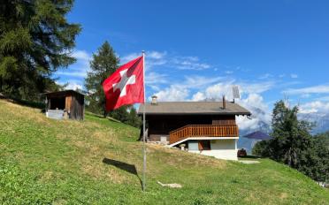 Chalet 3 Zimmer - image - 1