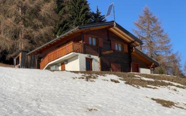 Chalet 3 Zimmer - image - 5