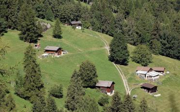Chalet 3 Zimmer - image - 7