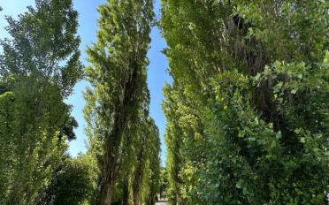 Wohnung 4 Zimmer - image - 9