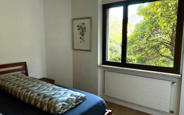 Wohnung 2.5 Zimmer - image - 5