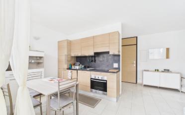 Wohnung 2.5 Zimmer - image - 1
