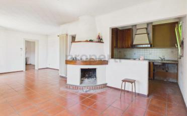 Villa 4 Zimmer - image - 4