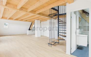Duplex 2.5 pièces - image - 4