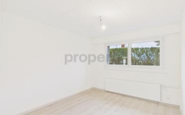 Reihenfamilienhaus 6.5 Zimmer - image - 7
