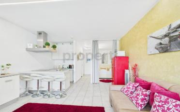 Apartment 2.5 rooms - image - 5