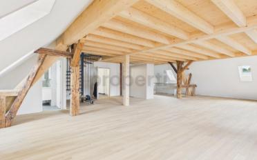 Duplex 2.5 rooms - image - 1