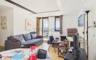 Wohnung 2.5 Zimmer - image - 1