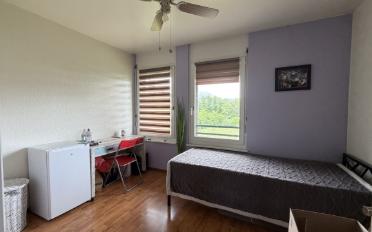 Duplex 6 Zimmer - image - 7