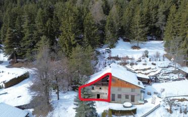 Single house 1 room - image - 1