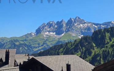 Chalet 10.5 pièces - image - 2