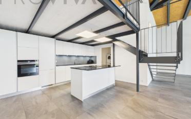 Loft 1.5 pièces - image - 1
