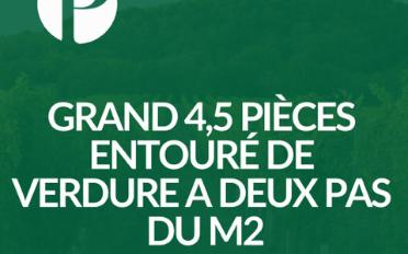 Appartement - image - 1