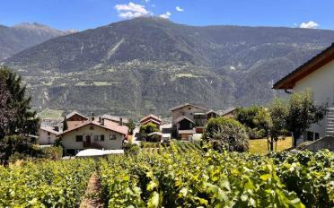 Terrain à bâtir - image - 1