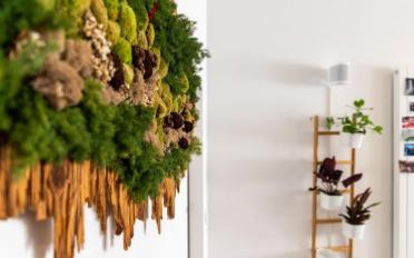 Wohnung - image - 13